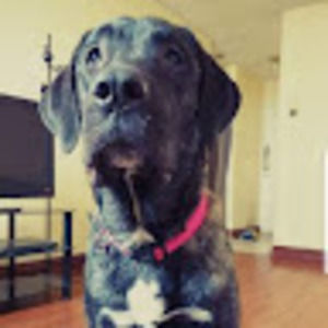 Meet your Posher, Nikky